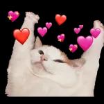 ❤️❤️❤️