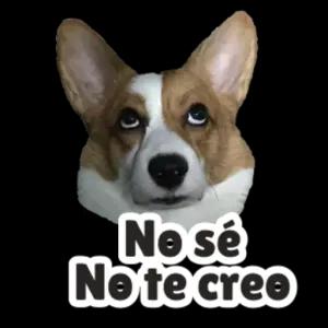 No sé No te creo - getsticker.com