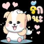 รักนะครับ