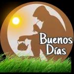 My Pack 26