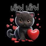 โปรด
รับไป
ใจดวง
น้อยๆ
ของผม