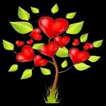 ICH KANN DAS WOCHENENDE SCHON RIECHEN