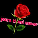 Te amo