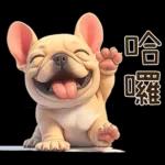 傻萌小法鬥