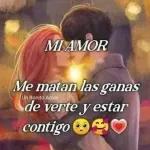 Te amo mi amor