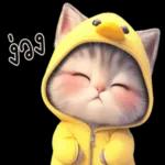 ก็ แจ้วแต่