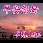 不要發送早上的圖片