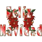 HO HO HO🎄
