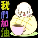 白貴賓犬表情包