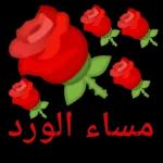 احمد