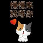 實用大貼圖 職場日常 可愛花貓