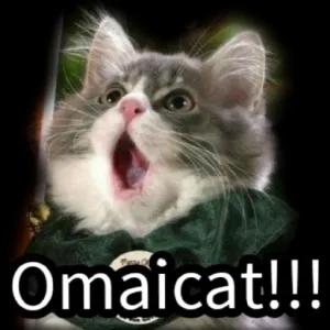 Omaicat!!! - getsticker.com