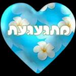 הודיה מדבקות
