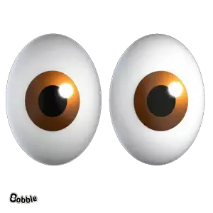 NnERQ9