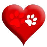 Mein Herz gehört dir