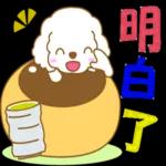 白貴賓犬表情包