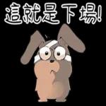 本週熱門表情--不要錯過喔