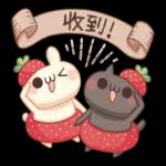 兔子小白與貓咪小黑 2