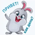 ПРИВЕТ! как дела?