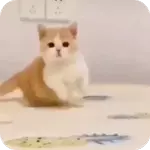 мои стикеры