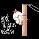 ลูกไก่น้อย ^^