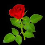 for you~~~