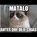 chisme