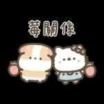 Hello Kitty 50週年 x 天竺鼠布丁 溫暖日常