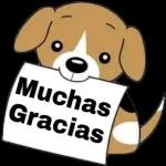 Muchas Gracias 