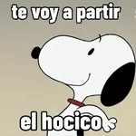 paquete 115