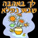 שישי