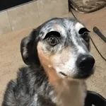 Eyebrows on fleek