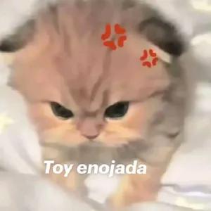 Toy enojada - getsticker.com