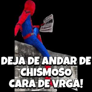 TcMg2t