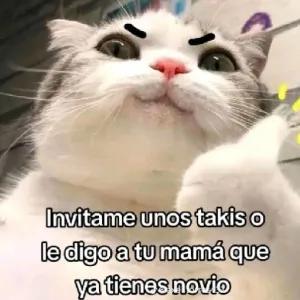 lHkkHh
