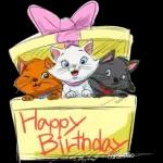 Gatito Toulouse Disney 🐈💙