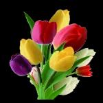 Schlaf gut
und träum was Schönes