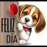 Feliz día del Profesor