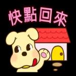 PEKO醬 簡約可愛風