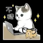 倉鼠 & 貓咪