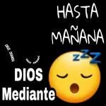estaticos