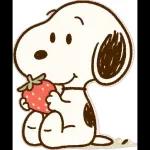 Snoopy 
