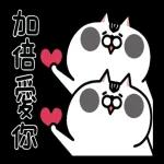 就是醬子喵-內有壞貓 八七來過招