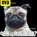 ORA, ¿QUE PEDO?