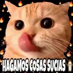 toy chido