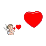 TÉ HAS GANADO UN COCOTAZO