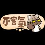 貓爪抓 -小小的你問我答抓-