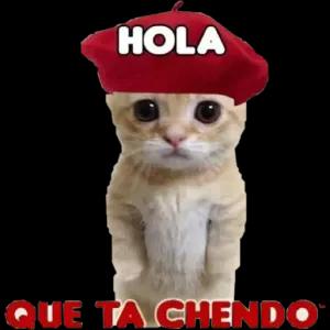 HOLA QUE TA CHENDO - getsticker.com