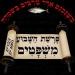 הורדה חינם, עדכונים יומיים, אין צורך בכניסה