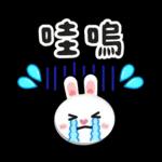 咖B和兔兔 ♡ 可愛實用日常